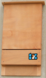 BatBox